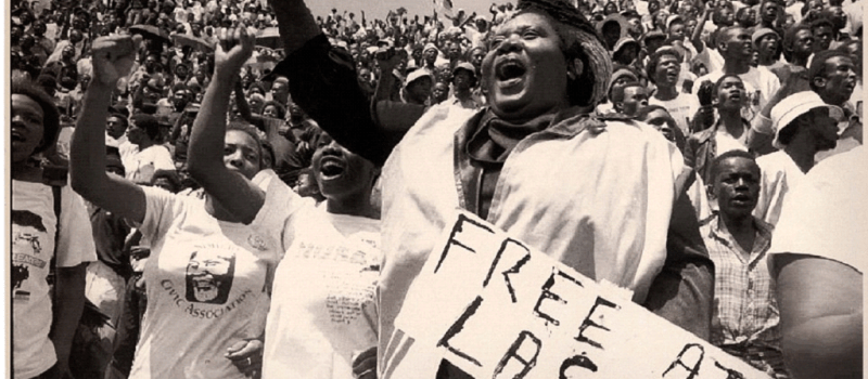 Reflections On South Africa S First Freedom Day Wdb Investment Holdings